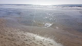 GC-Playa de Maspalomas 2026-091.jpg